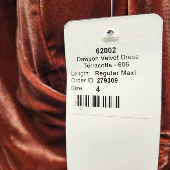 NWT Revelry Dawson Velvet Regular Maxi Dress Terracotta  Dress Size 4 - Picture 9 of 12
